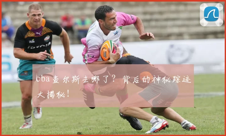 cba查尔斯去哪了？背后的神秘踪迹大揭秘！