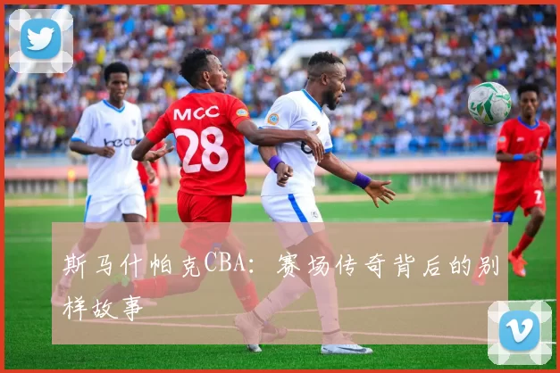 斯马什帕克CBA：赛场传奇背后的别样故事