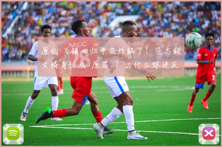 原创 马镇回归申花炸锅了！范志毅女婿身份成_原罪_？为什么球迷反而不高兴？